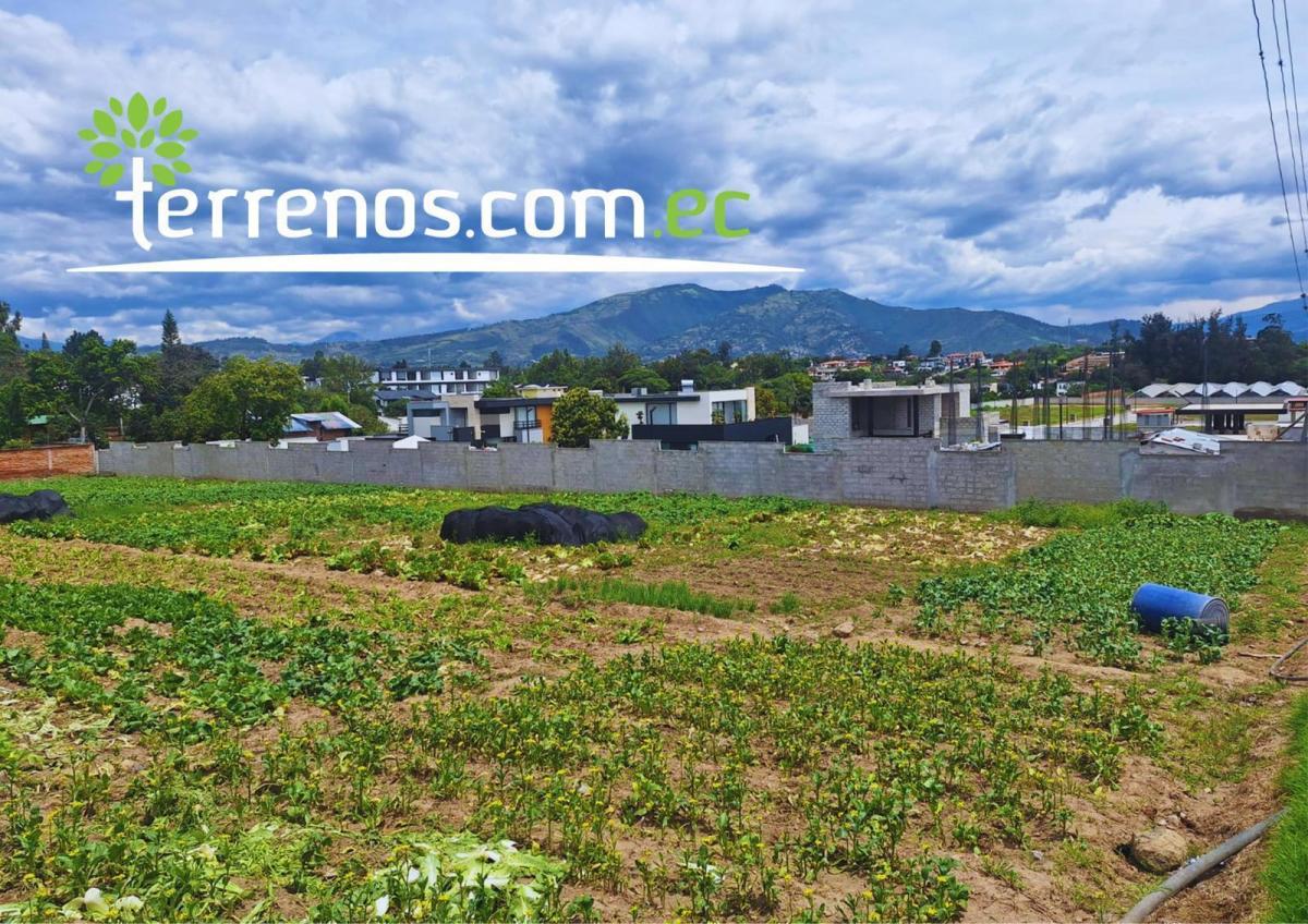 Terreno Independiente de Venta de 4.250 m² Tumbaco — imagen 2