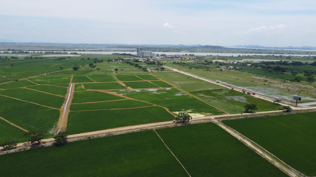 Venta Terreno en El Nuevo Samborondón Muy Cerca a Hospital Santiago, Guayas — imagen 3