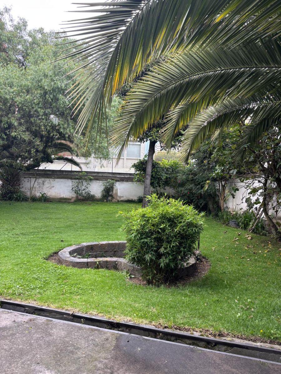 Terreno de 1009 m² en Venta en El Centro Norte con Uso Comercial o Residencial E — imagen 9