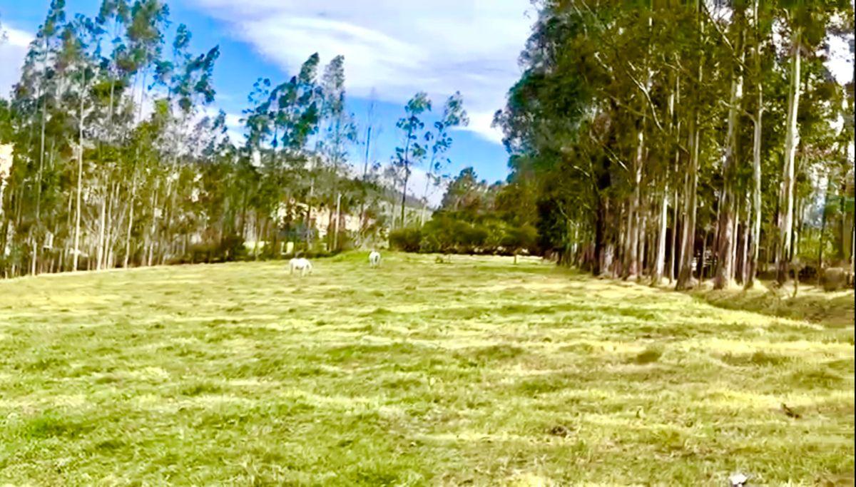 Pintag – Sector San Agustín | Venta Excelente Propiedad de 8.72 Hectáreas — imagen 10