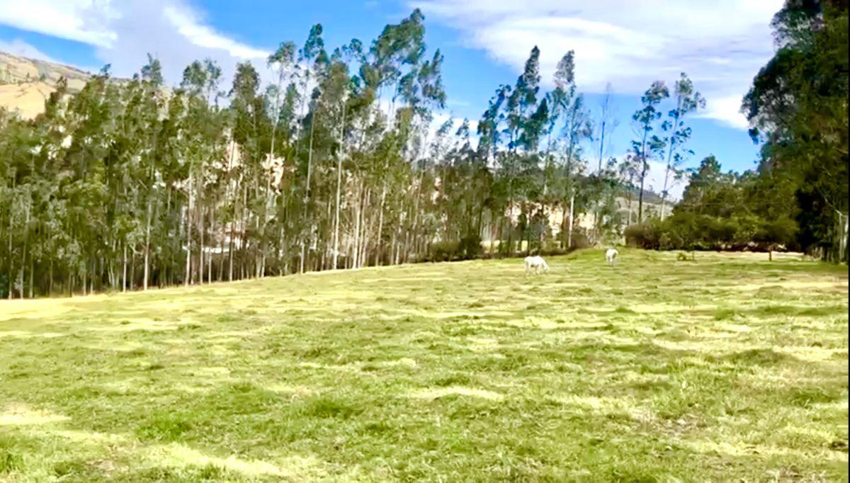 Pintag – Sector San Agustín | Venta Excelente Propiedad de 8.72 Hectáreas — imagen 9