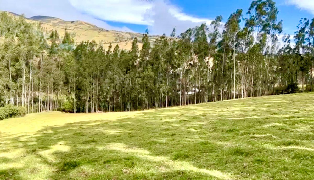 Pintag – Sector San Agustín | Venta Excelente Propiedad de 8.72 Hectáreas — imagen 8