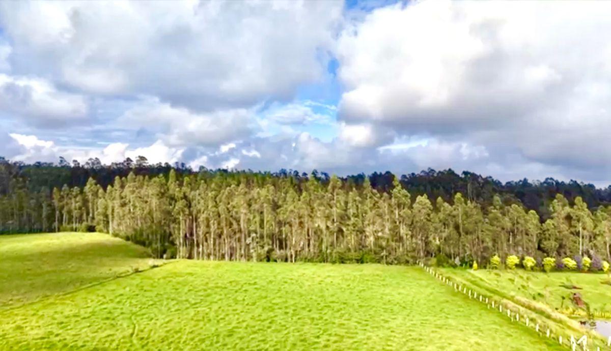 Pintag – Sector San Agustín | Venta Excelente Propiedad de 8.72 Hectáreas — imagen 6