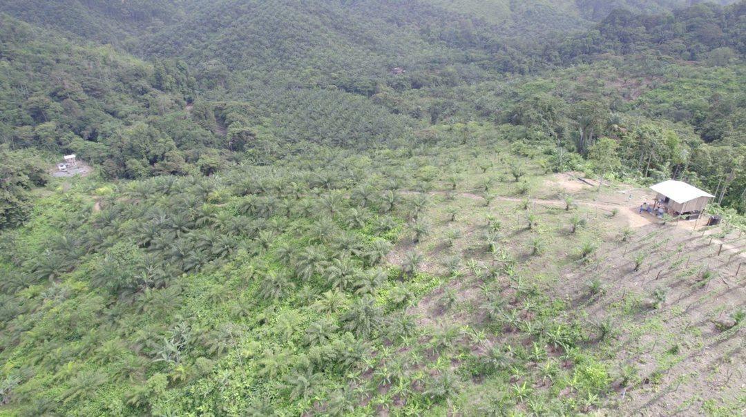 Hacienda Agricola en Venta Daule Esmeraldas — imagen 10