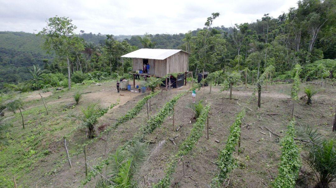 Hacienda Agricola en Venta Daule Esmeraldas — imagen 6
