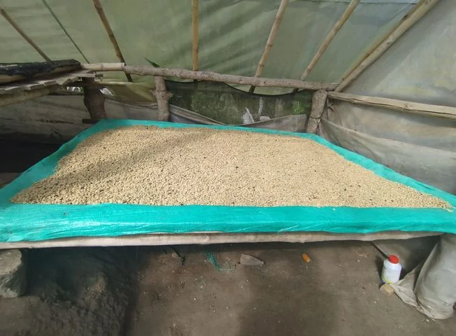 Terreno en venta en Cotacachi — imagen 3
