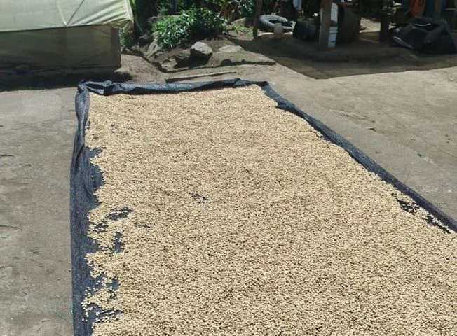 Terreno en venta en Cotacachi — imagen 2