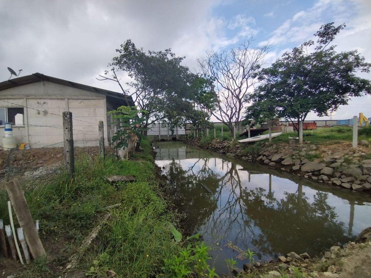 Hectarea Comercial Industrial Institucional A. Blum, Guayas — imagen 5