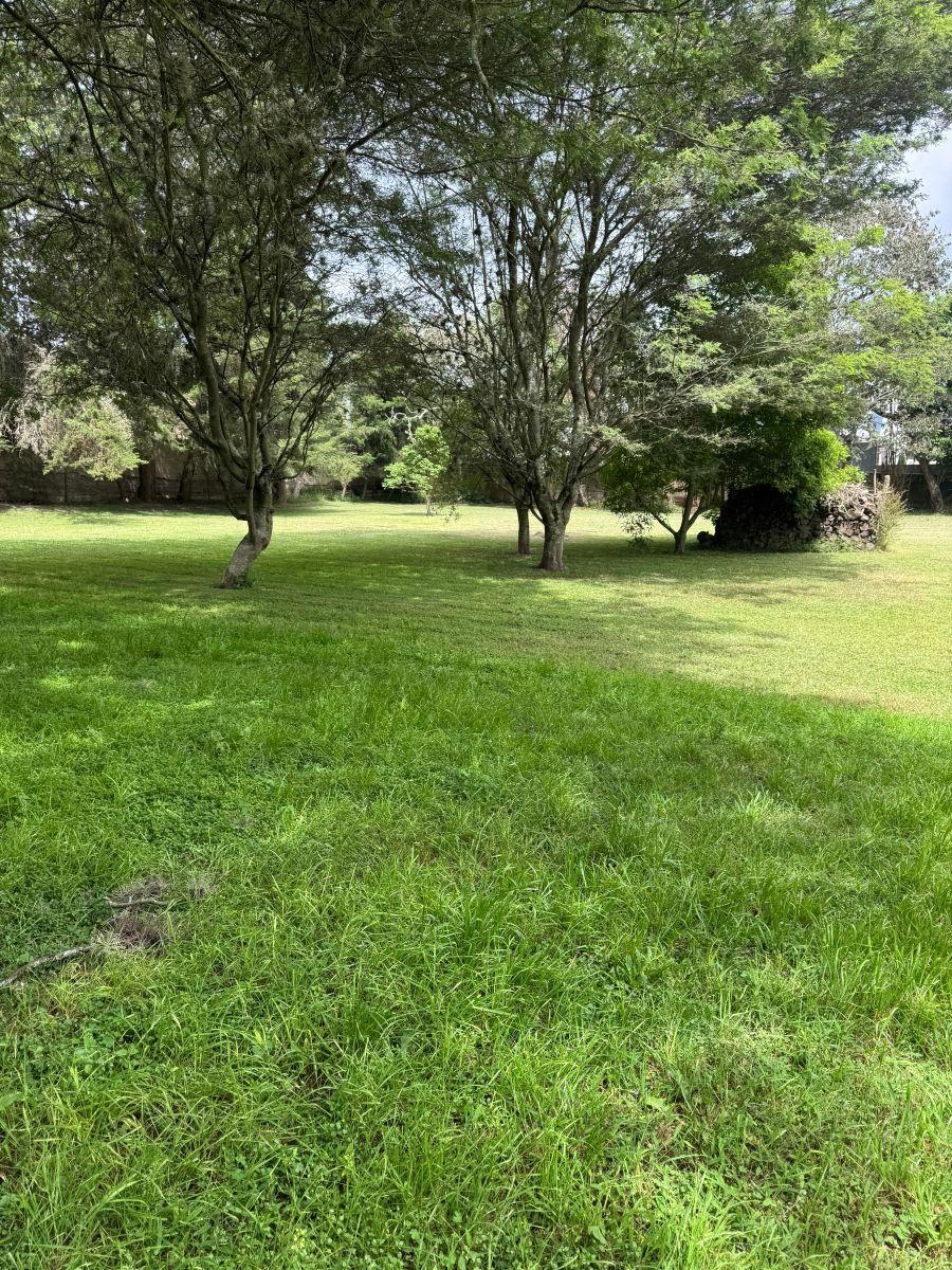Se Vende Terreno de 12600 m² en Tumbaco en El Sector La Esperanza en $ — imagen 10