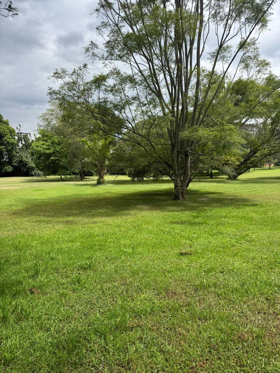 Se Vende Terreno de 12600 m² en Tumbaco en El Sector La Esperanza en $ — imagen 9