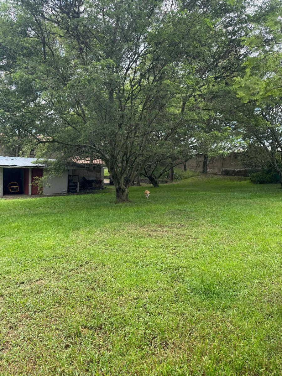 Se Vende Terreno de 12600 m² en Tumbaco en El Sector La Esperanza en $ — imagen 8