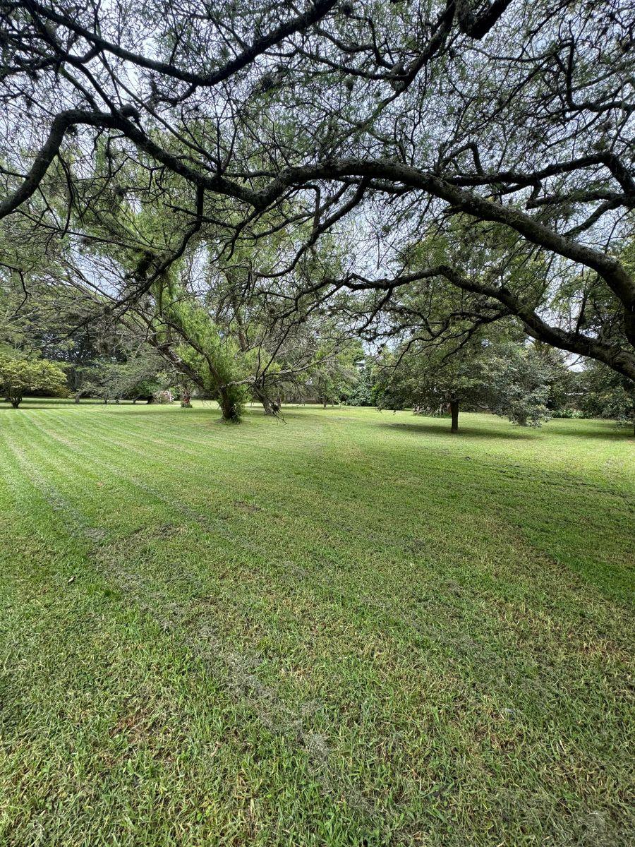 Se Vende Terreno de 12600 m² en Tumbaco en El Sector La Esperanza en $ — imagen 6