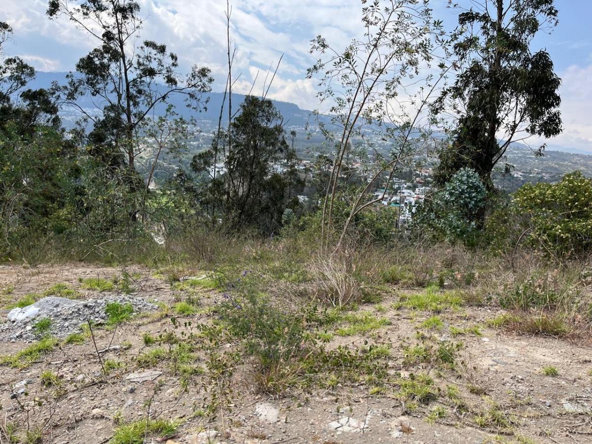 Terreno en Venta en La Loma Pillagua Cumbaya — imagen 7