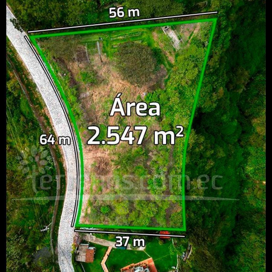 Terreno en Venta Urb. Pacho Salas 2.547 m², Tumbaco — imagen 8