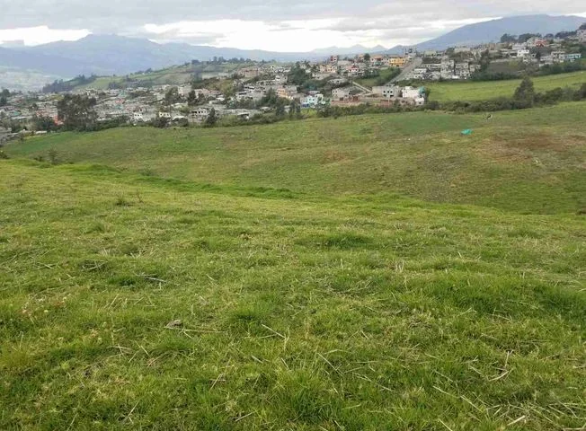 Terreno en venta en Pichincha — imagen 3