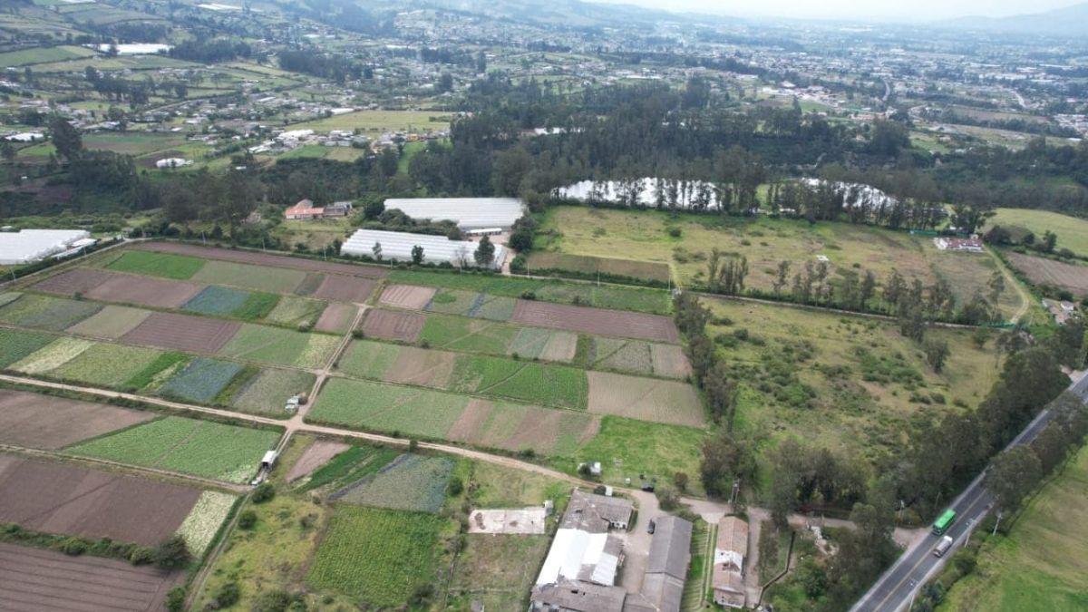 Vendo Terreno de 34 Hectáreas en Checa — imagen 10