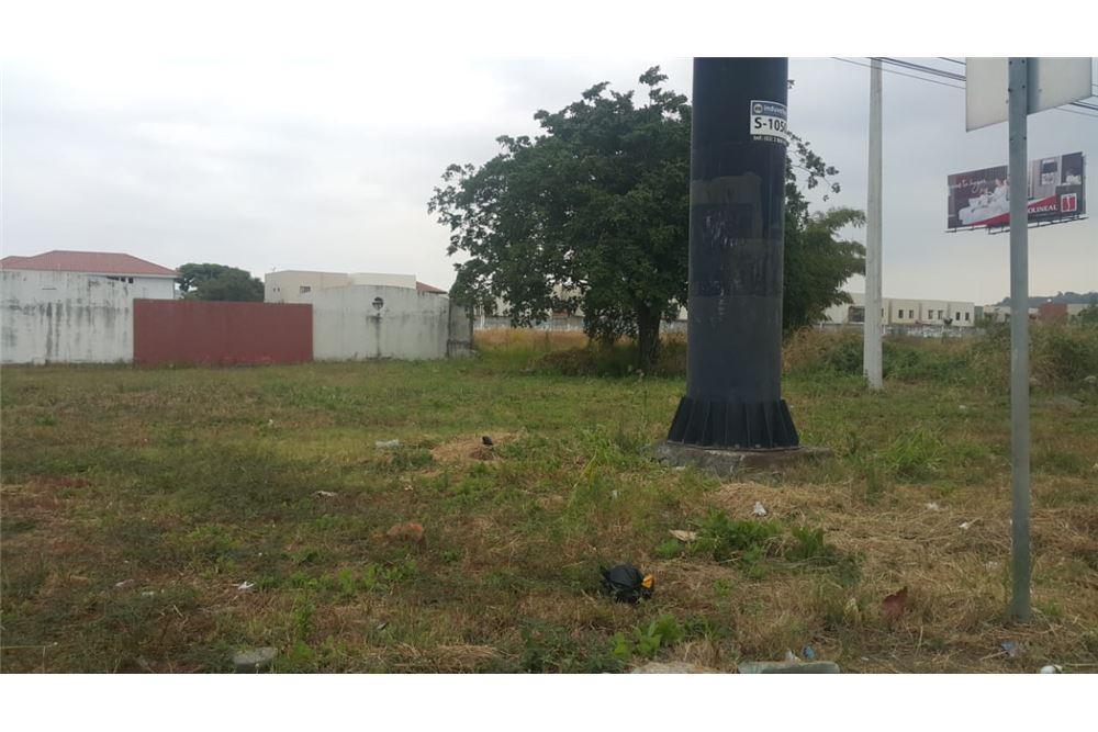 Terreno Comercial en Venta en Av Leon Febres Cordero - Mae Recalde, Guayas — imagen 8
