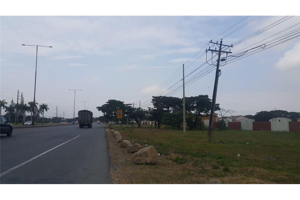 Terreno Comercial en Venta en Av Leon Febres Cordero - Mae Recalde, Guayas — imagen 7