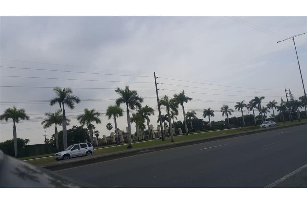 Terreno Comercial en Venta en Av Leon Febres Cordero - Mae Recalde, Guayas — imagen 6