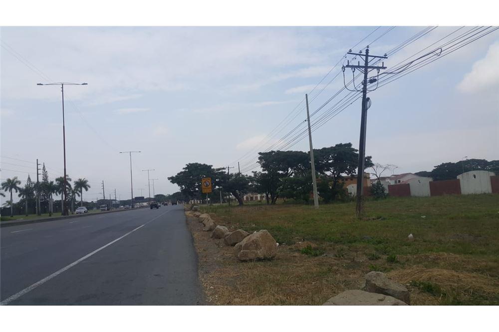 Terreno Comercial en Venta en Av Leon Febres Cordero - Mae Recalde, Guayas — imagen 2
