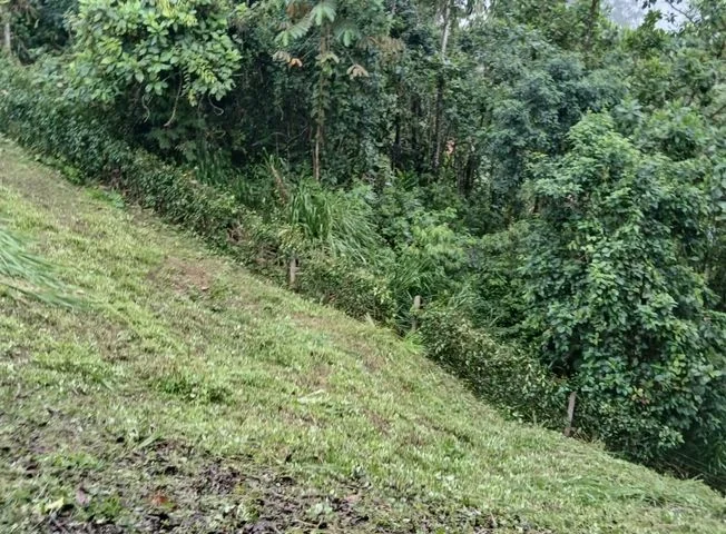 Terreno en venta en Pedro Vicente Maldonado — imagen 2