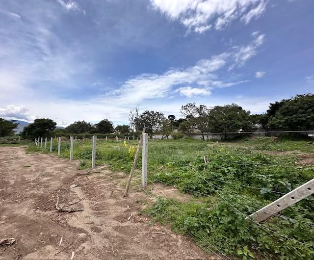 Vendo Hermoso Terreno en Checa Sector Residencial — imagen 10