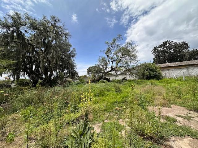 Vendo Hermoso Terreno en Checa Sector Residencial — imagen 9