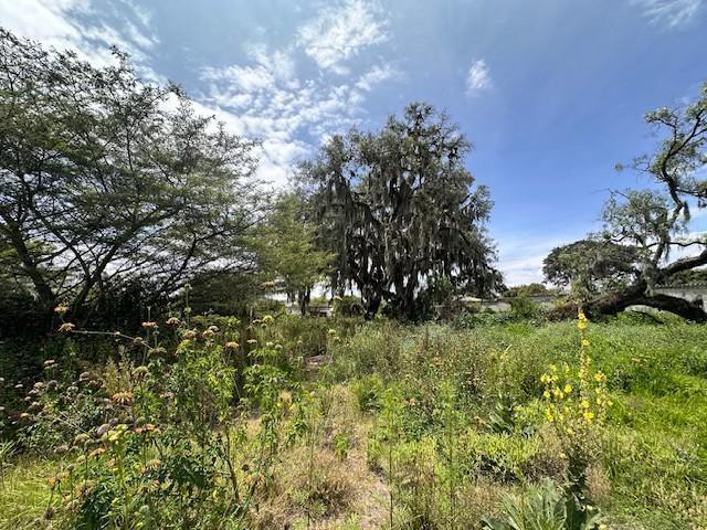 Vendo Hermoso Terreno en Checa Sector Residencial — imagen 8
