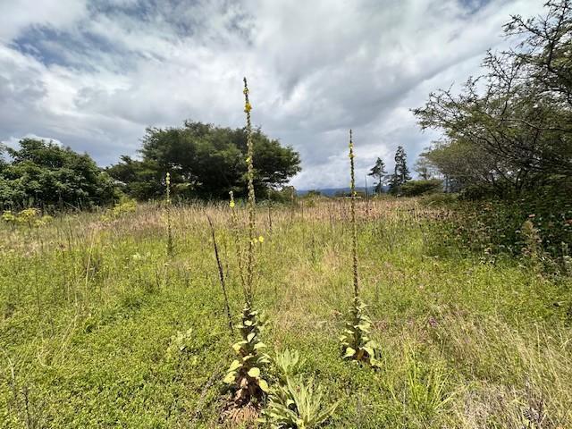 Vendo Hermoso Terreno en Checa Sector Residencial — imagen 7