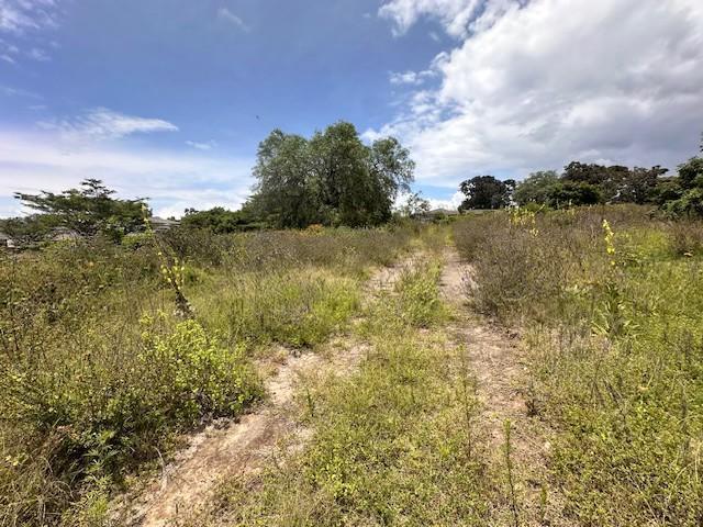 Vendo Hermoso Terreno en Checa Sector Residencial — imagen 6