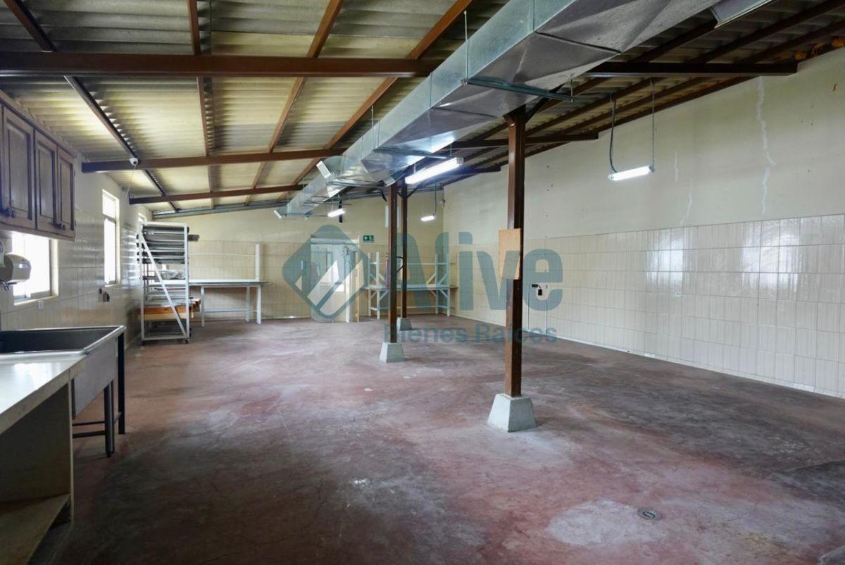 Terreno + Construcción Estratégica en Pusuquí — imagen 2