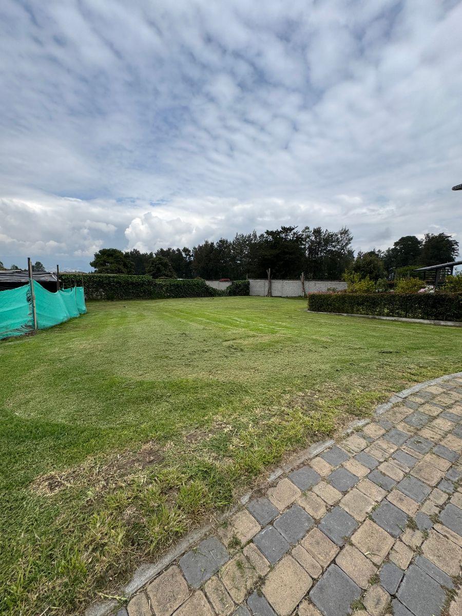 Venta Terreno 820 m² en Urbanización de Puembo — imagen 10