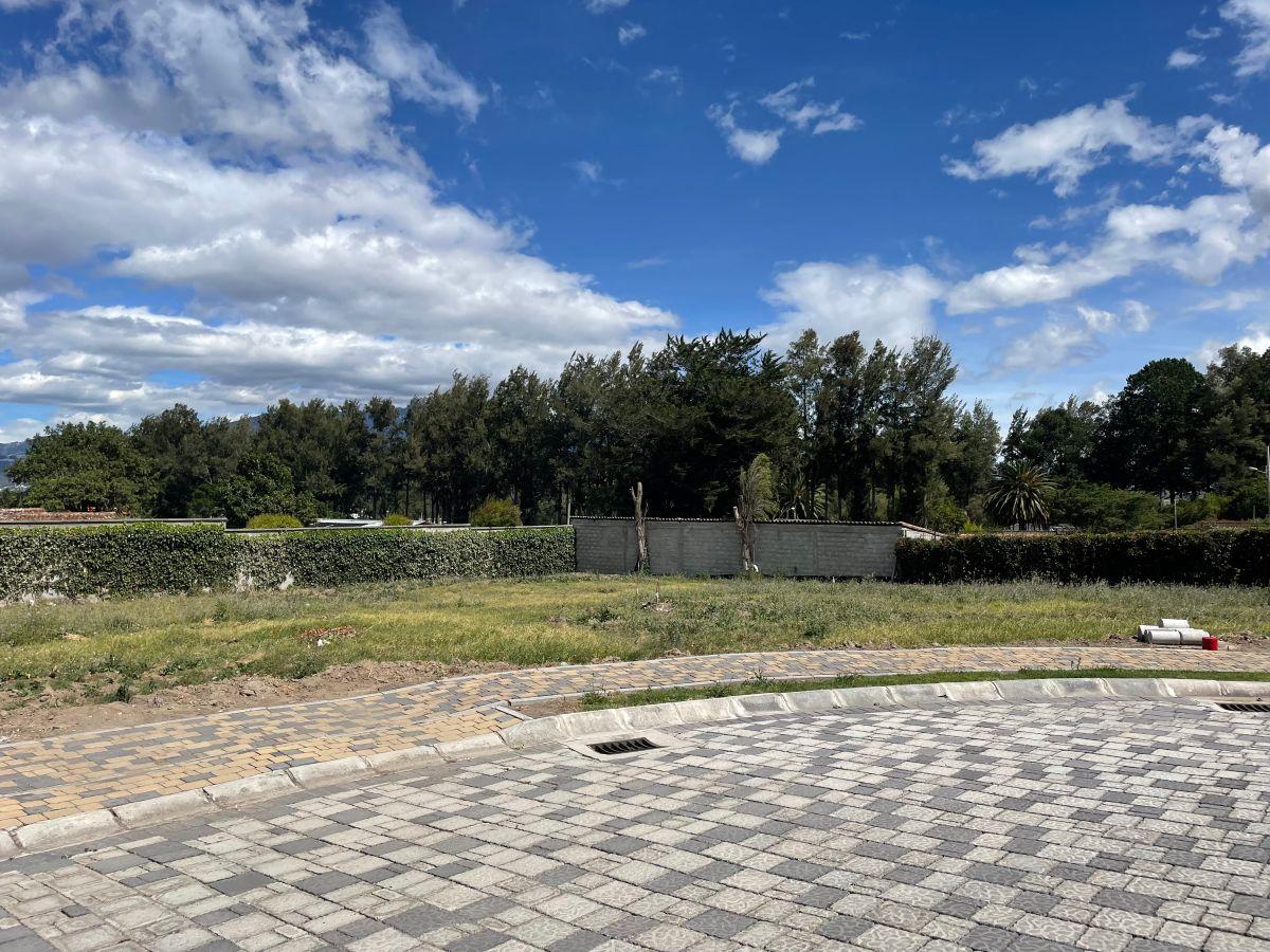 Venta Terreno 820 m² en Urbanización de Puembo — imagen 9