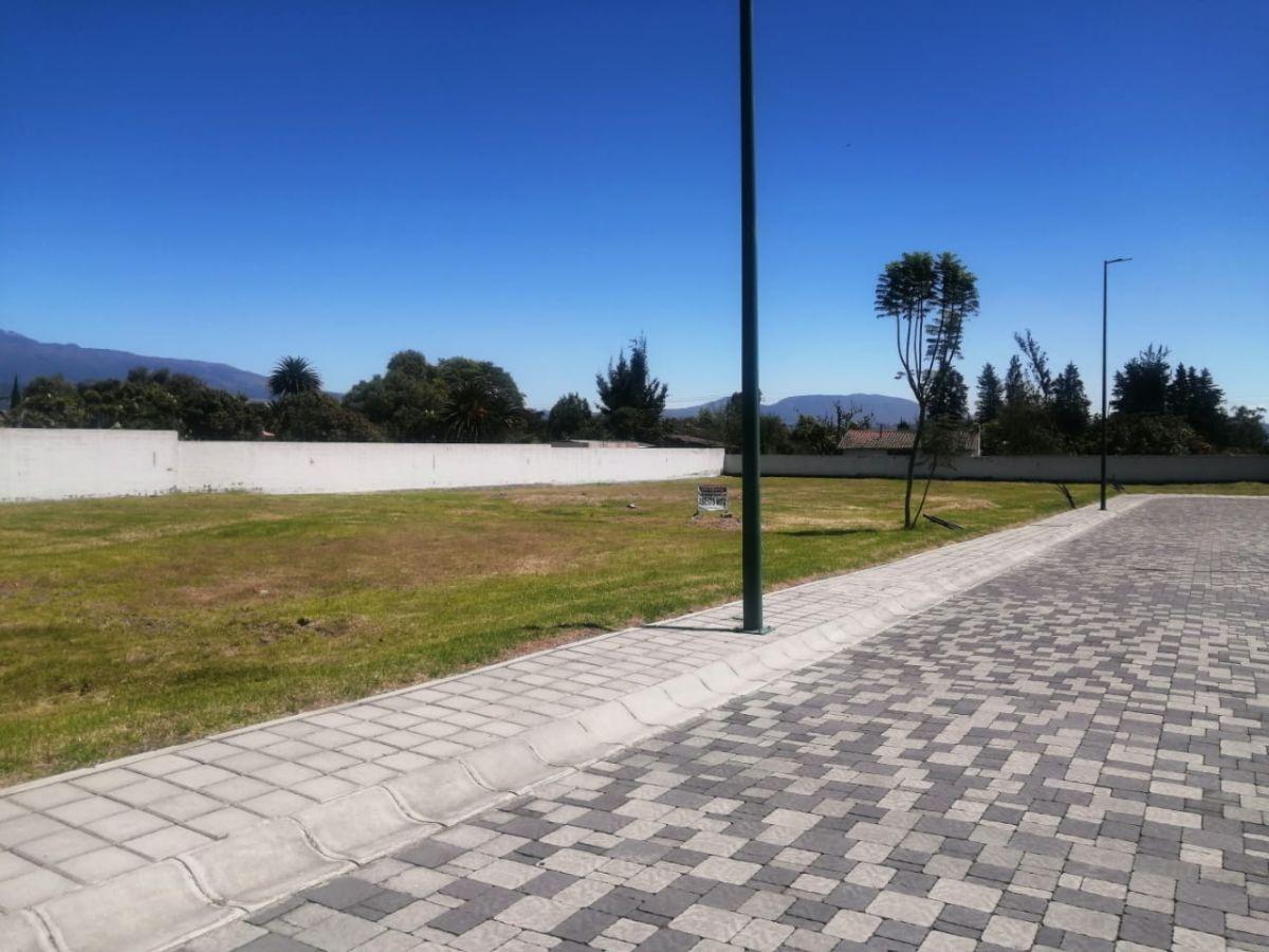 Venta Terreno 820 m² en Urbanización de Puembo — imagen 7