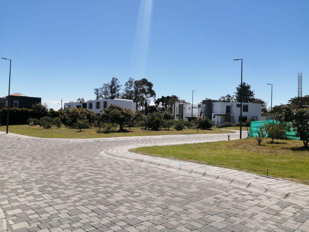 Venta Terreno 820 m² en Urbanización de Puembo — imagen 5