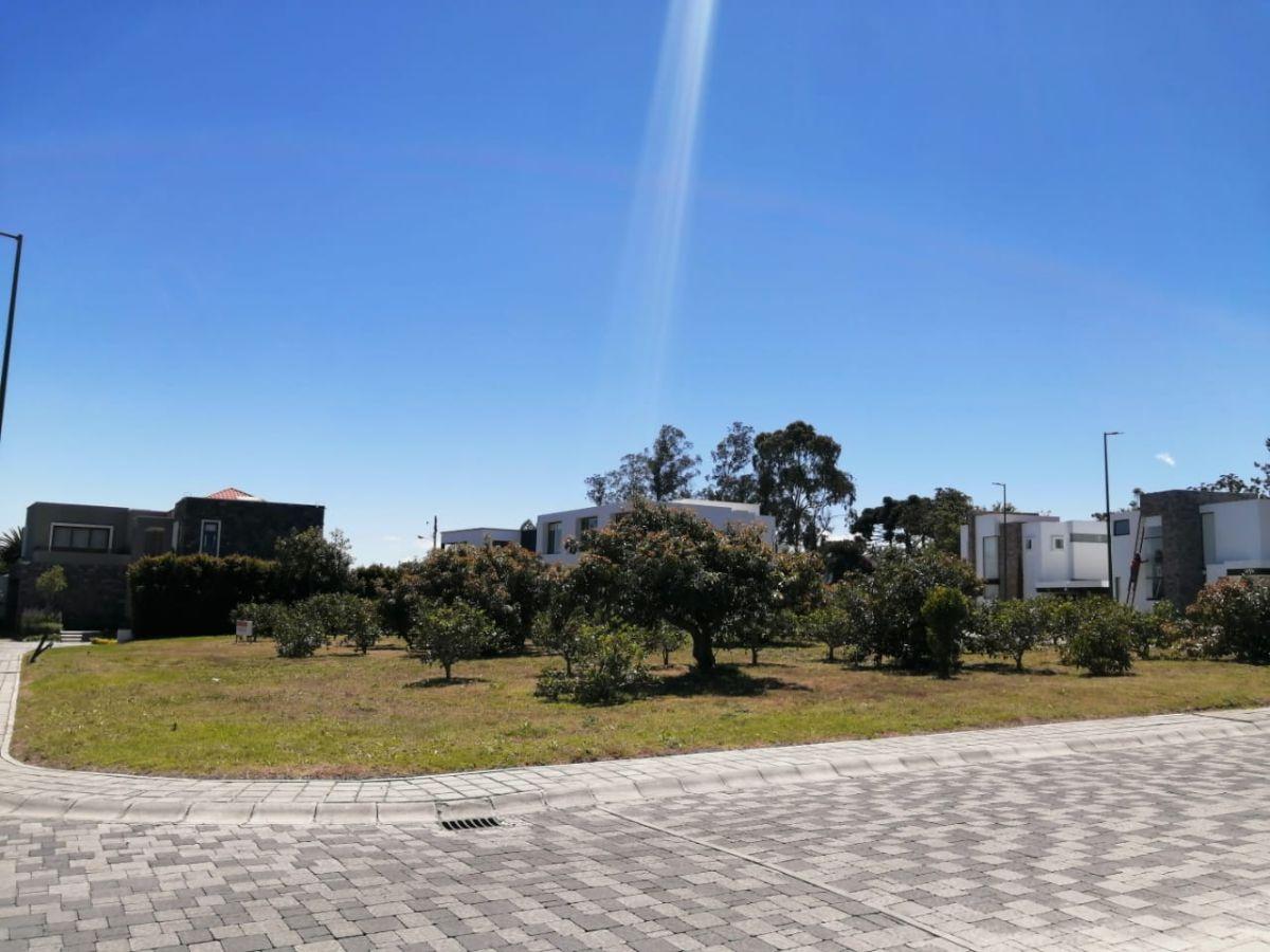 Venta Terreno 820 m² en Urbanización de Puembo — imagen 4