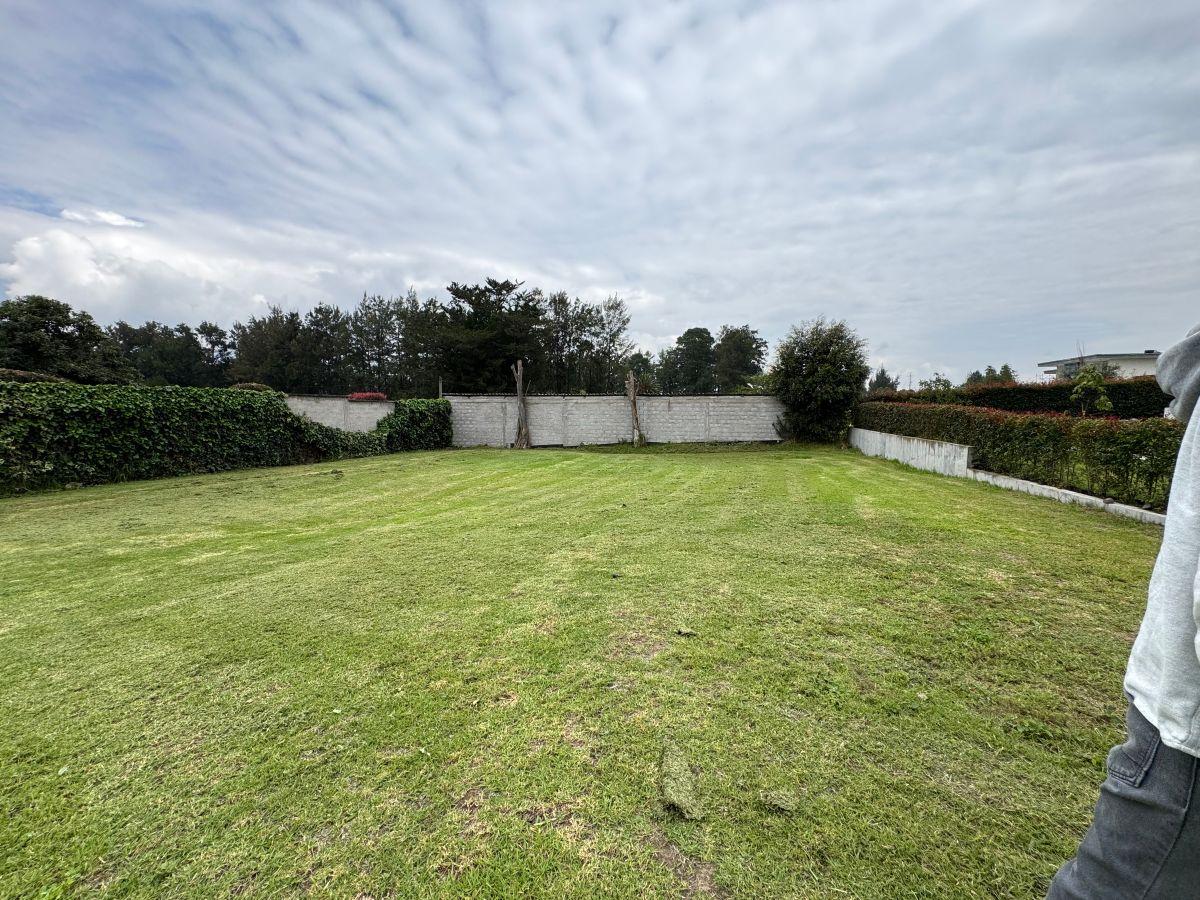 Venta Terreno 820 m² en Urbanización de Puembo — imagen 2