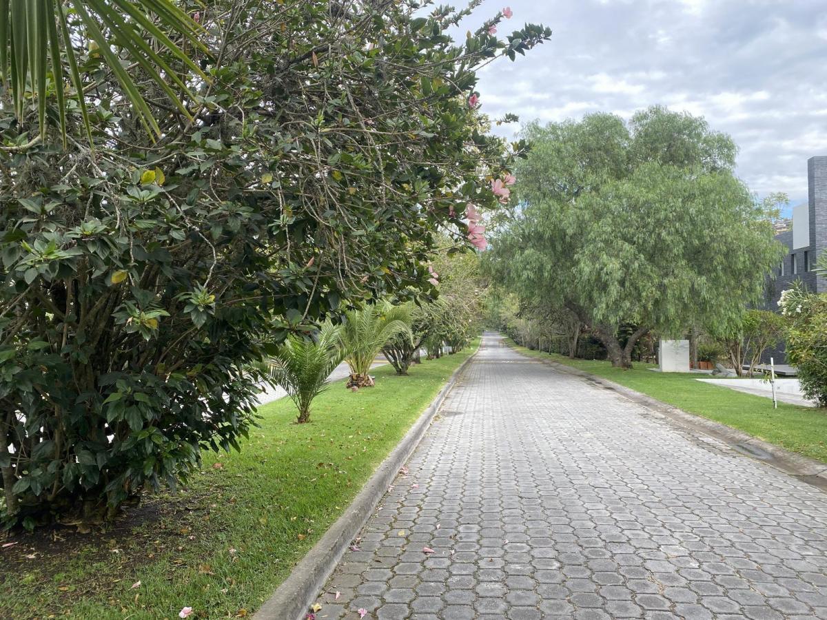 Terreno de Venta en Cumbayá, Hermoso, Plano, Dentro de La Urbanización Pillagua — imagen 10