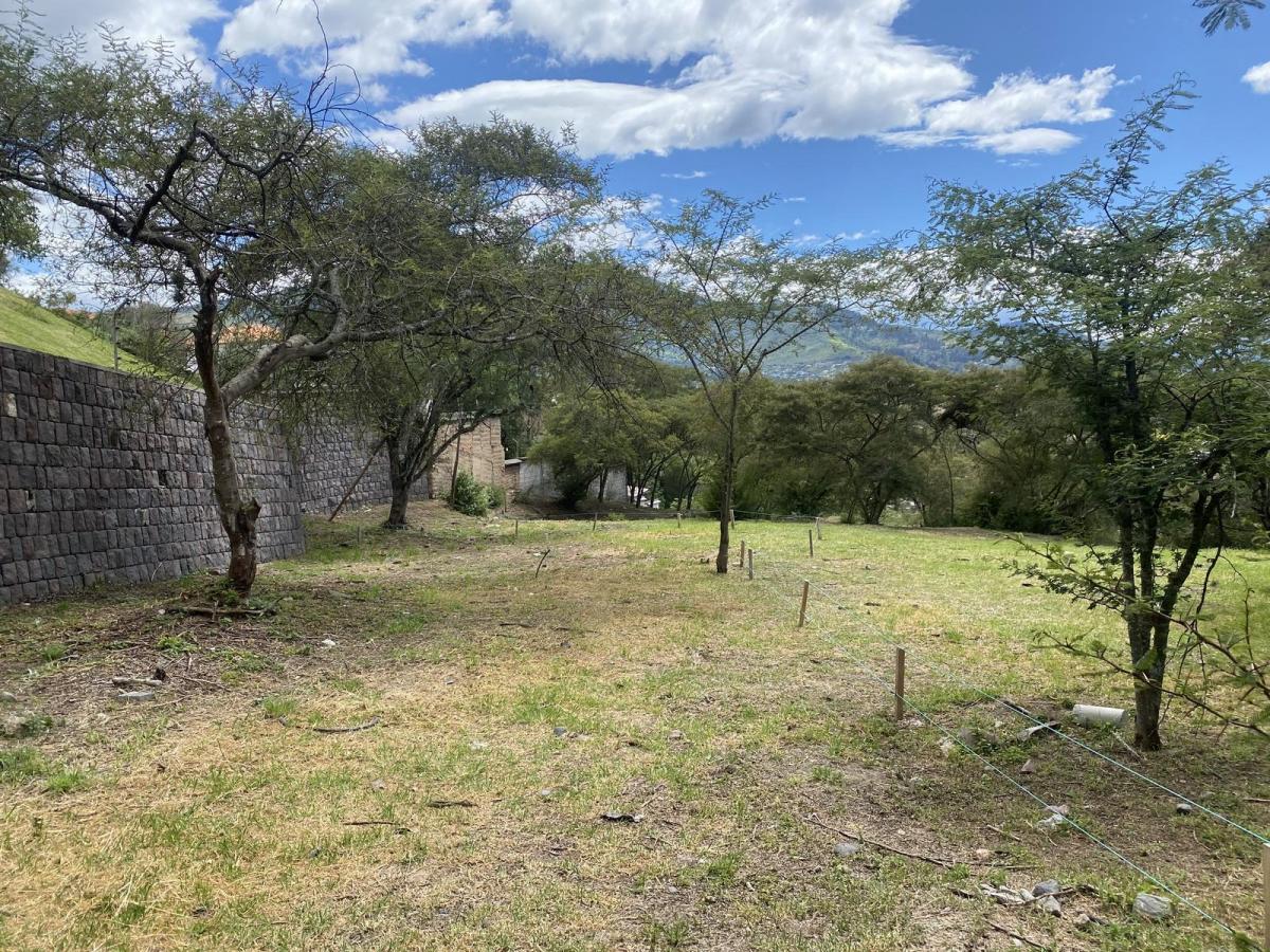 Terreno de Venta en Una de Las Mejores Urbanizaciones de Cumbayá. Para 3 Casas — imagen 8