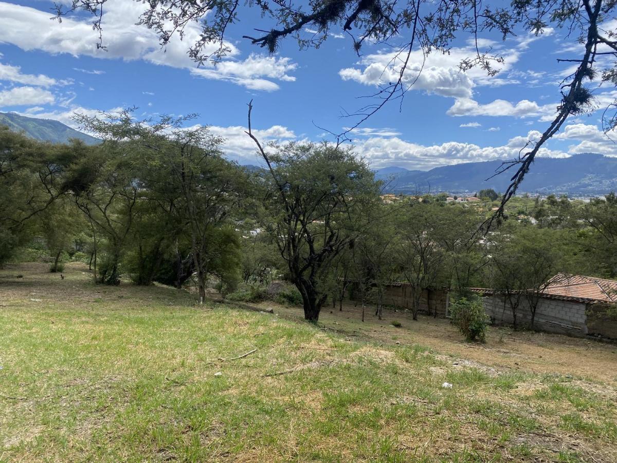 Terreno de Venta en Una de Las Mejores Urbanizaciones de Cumbayá. Para 3 Casas — imagen 7
