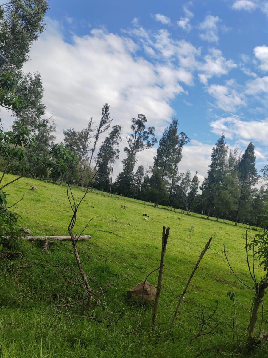 Vendo Propiedad de 4.5hc en Amaguaña - La Balvina — imagen 5