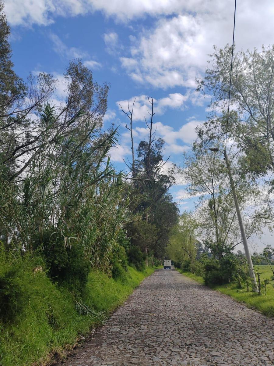 Vendo Propiedad de 4.5hc en Amaguaña - La Balvina — imagen 3