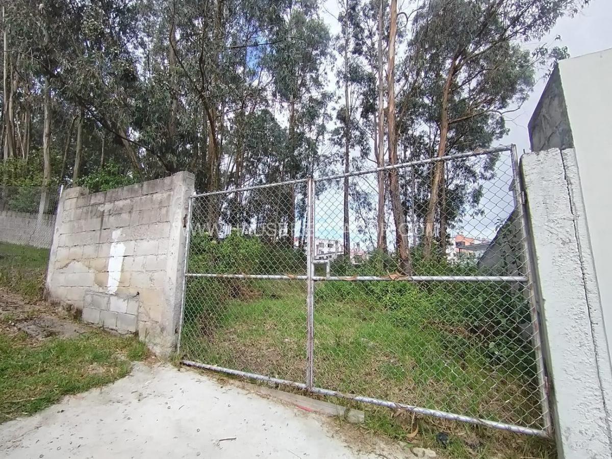 Terreno de 720 m² en Santa Lucia Norte, Dentro de Urbanización con Seguridad 24 Horas — imagen 9