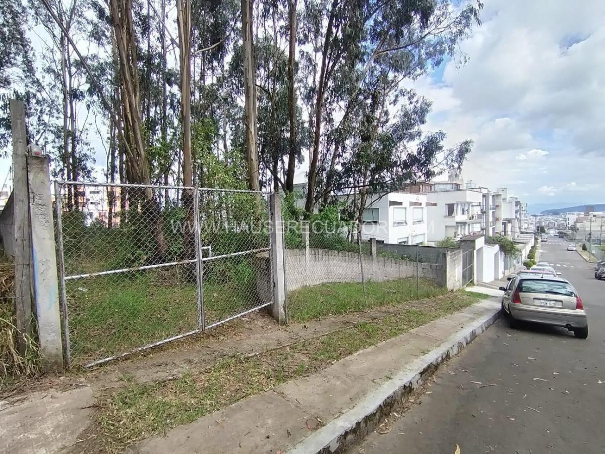 Terreno de 720 m² en Santa Lucia Norte, Dentro de Urbanización con Seguridad 24 Horas — imagen 8