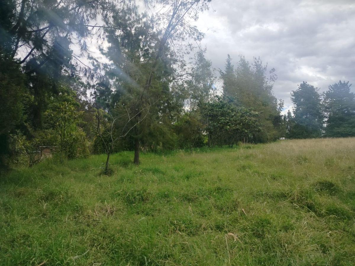Terreno en Venta, Sangolqui, Cotogchoa — imagen 10