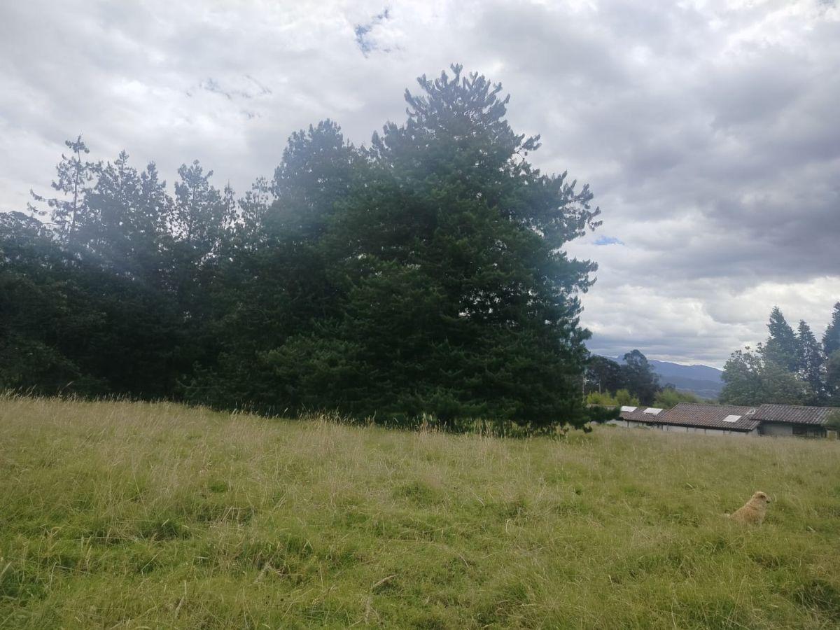 Terreno en Venta, Sangolqui, Cotogchoa — imagen 9