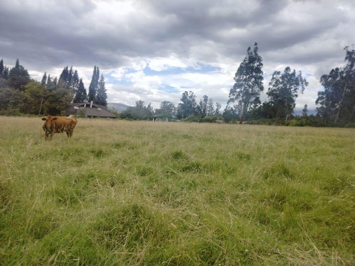 Terreno en Venta, Sangolqui, Cotogchoa — imagen 8