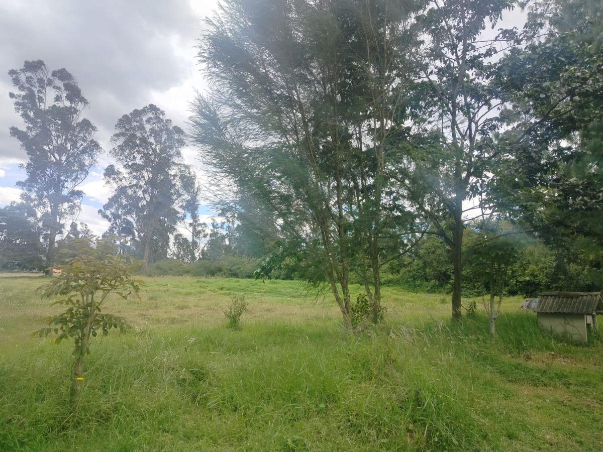 Terreno en Venta, Sangolqui, Cotogchoa — imagen 7