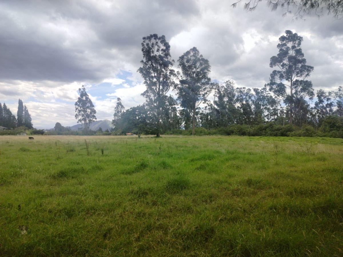 Terreno en Venta, Sangolqui, Cotogchoa — imagen 6