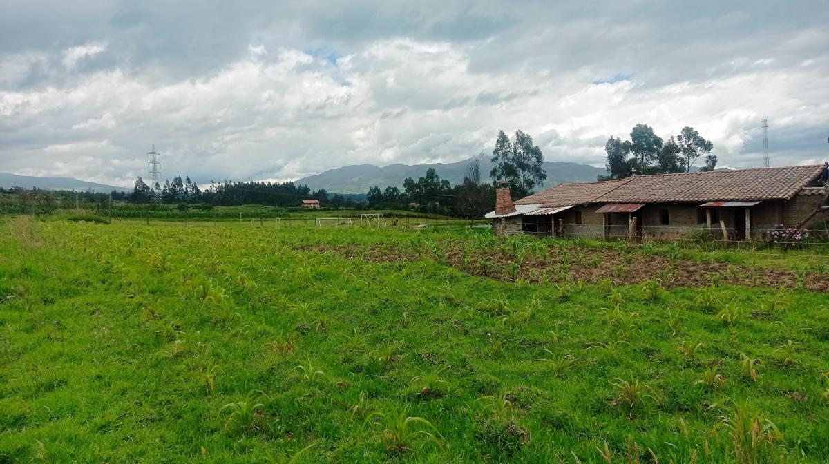 Venta Terreno de 1000 m en San Juan de La Tola - Pintag — imagen 7